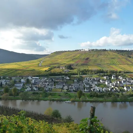 Winzerstrasse צל אן דר מוזל