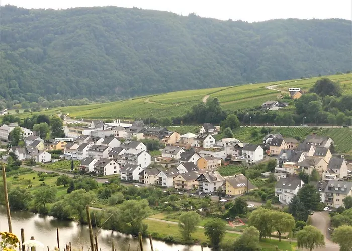 Appartement Winzerstrasse Zell