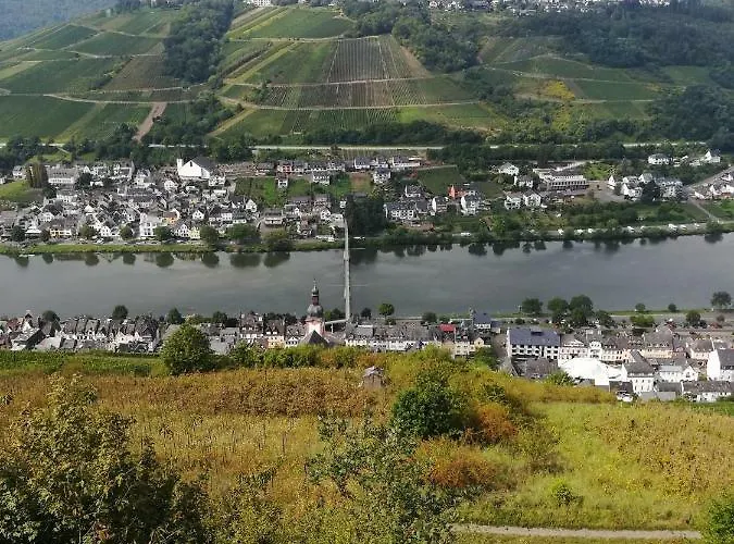 Winzerstrasse Appartement *