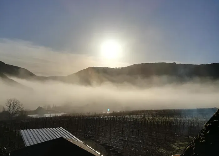 Appartement Winzerstrasse *